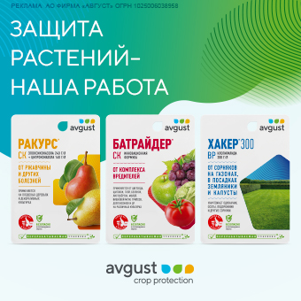 Avgust_2